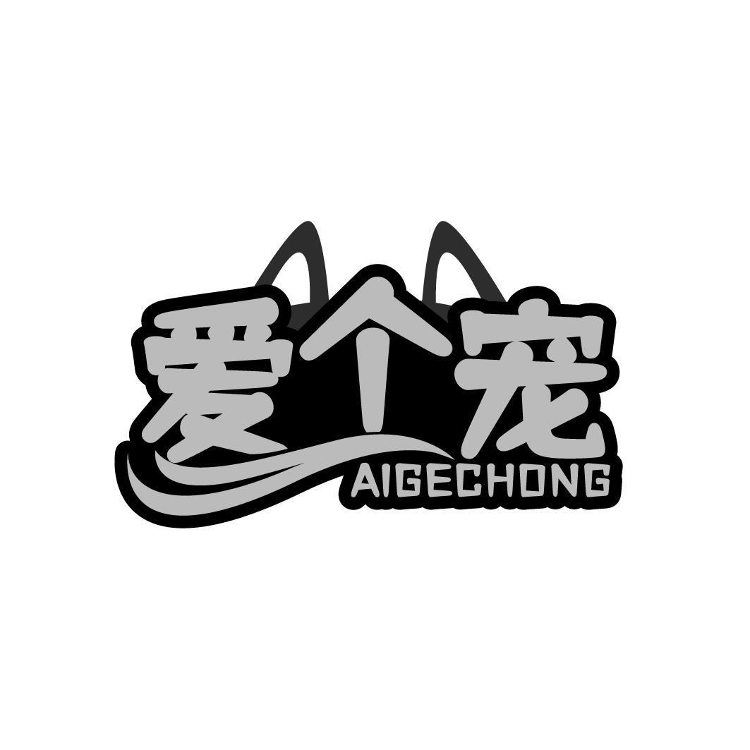 爱个宠AIGECHONG