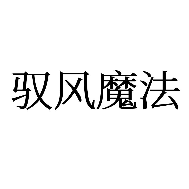 驭风魔法