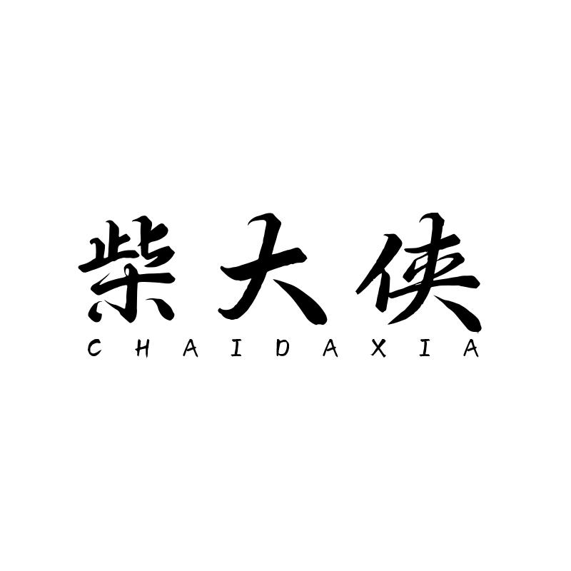 柴大侠