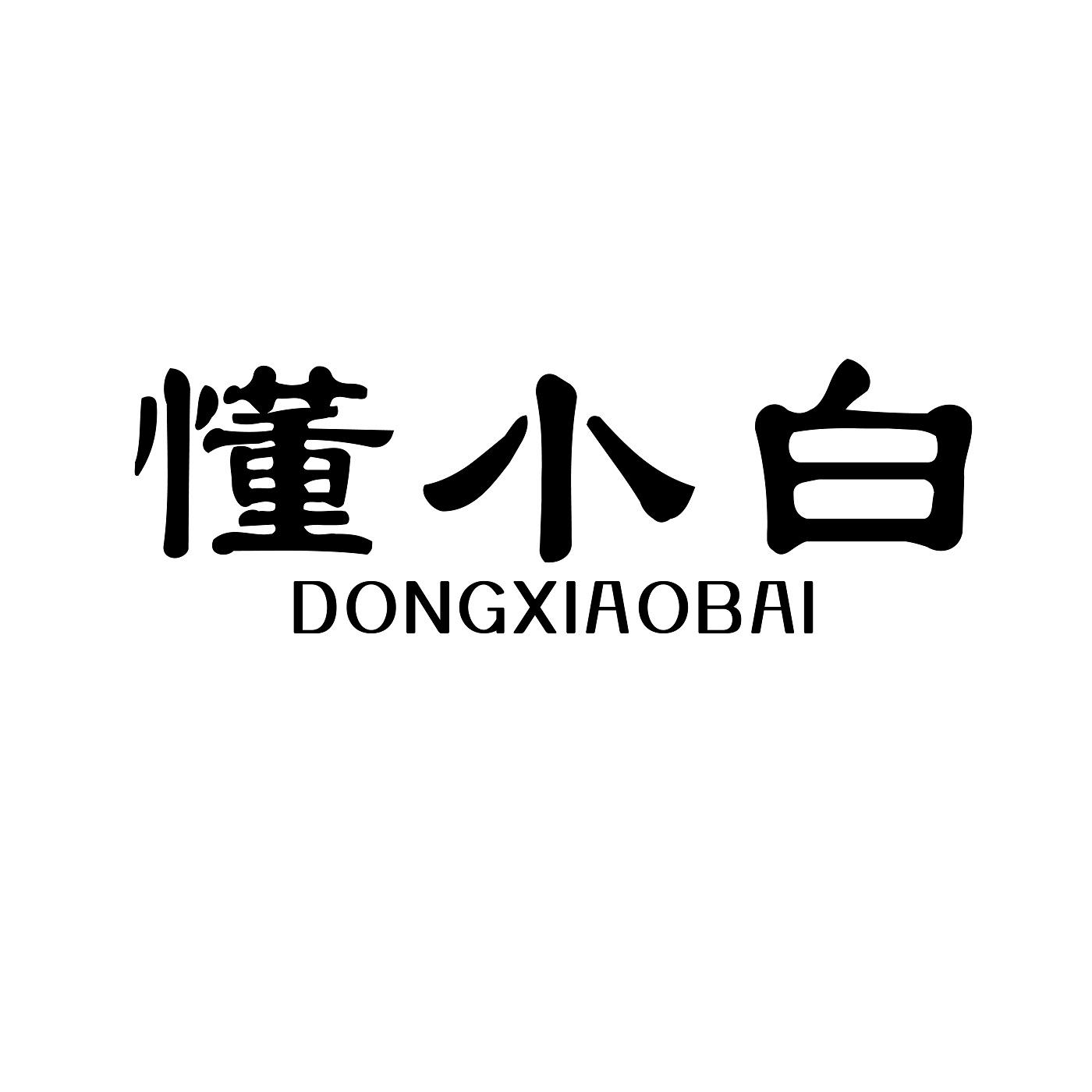 懂小白