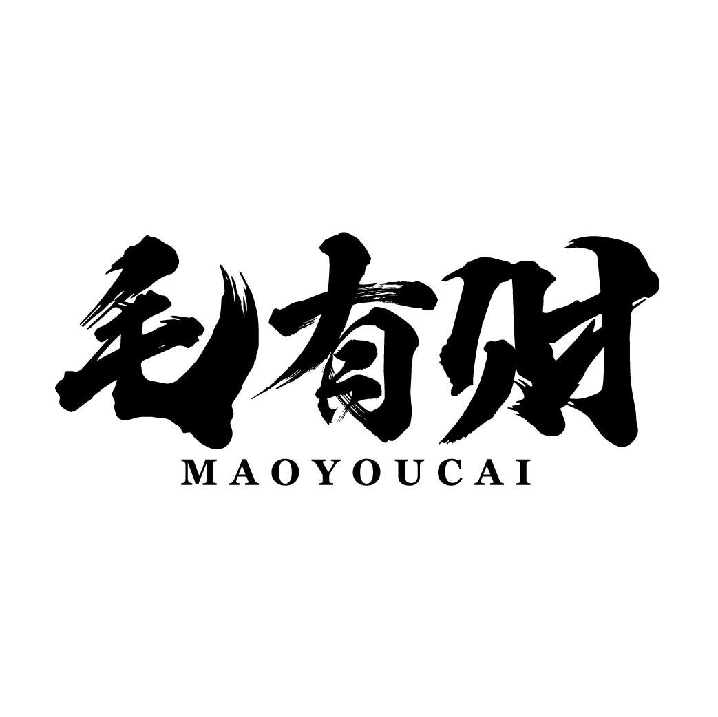 毛有财