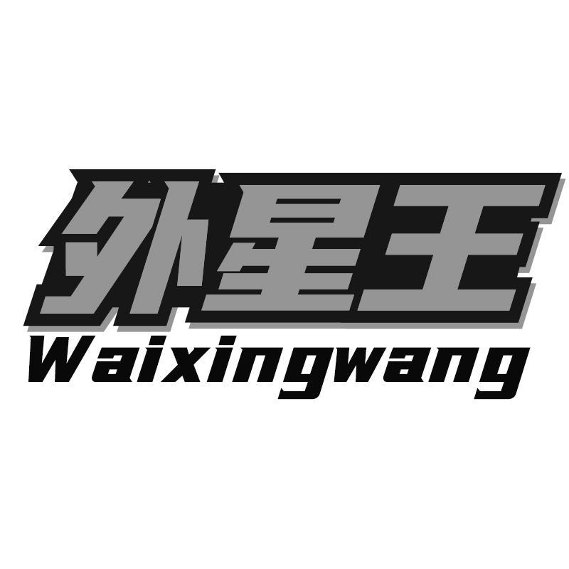 外星王