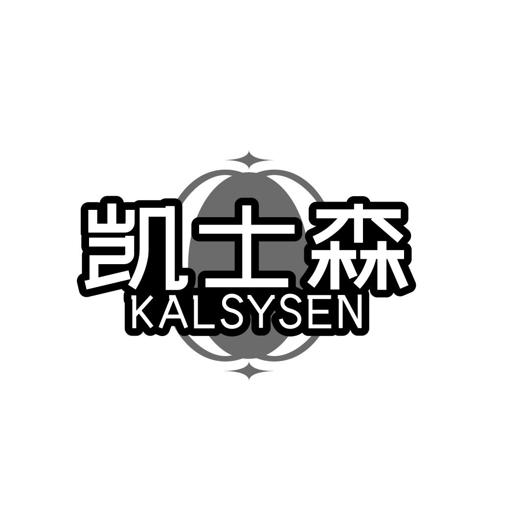 凯士森  KALSYSEN