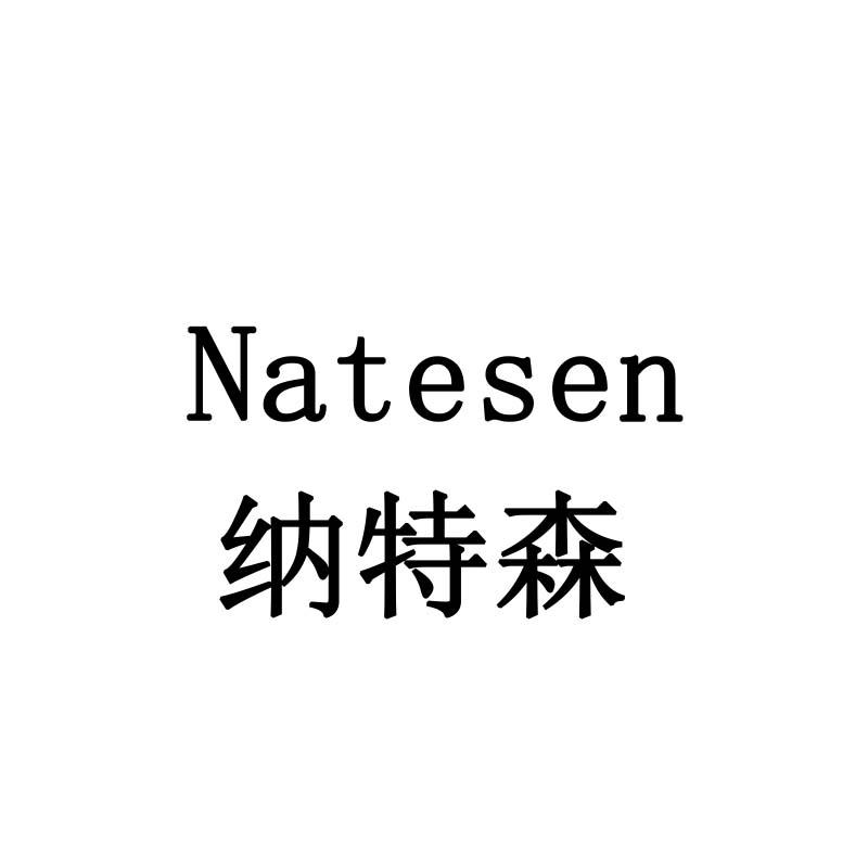 纳特森