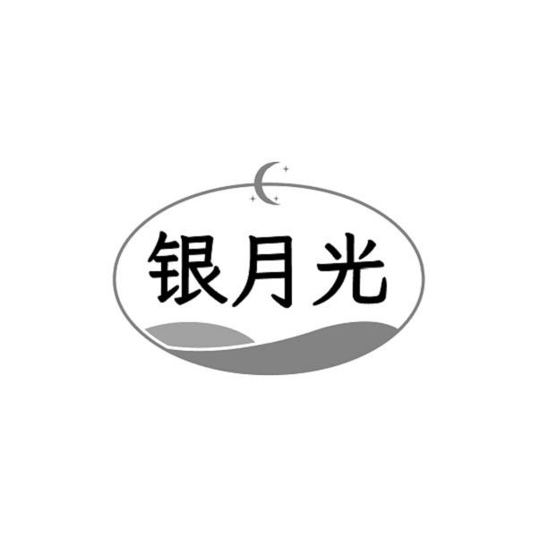 银月光