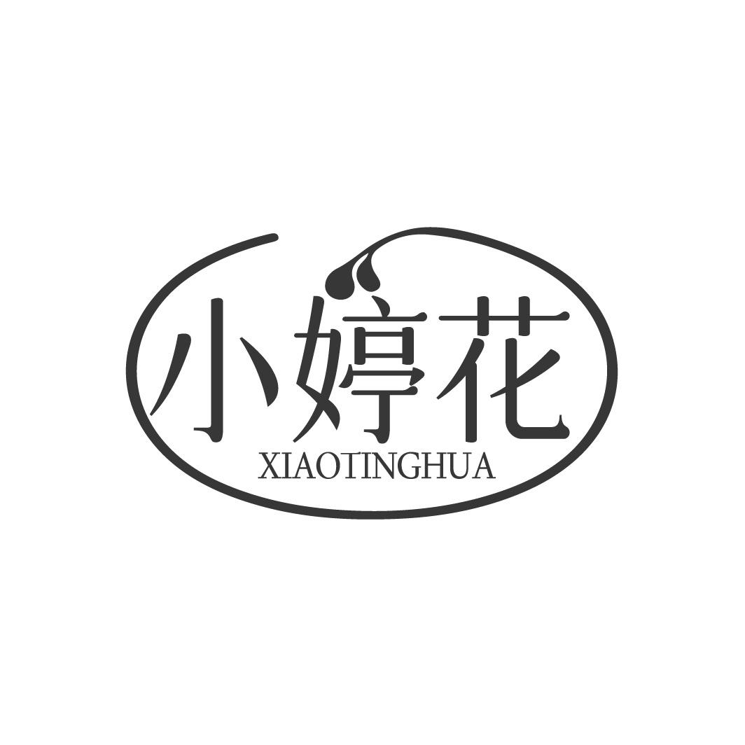小婷花