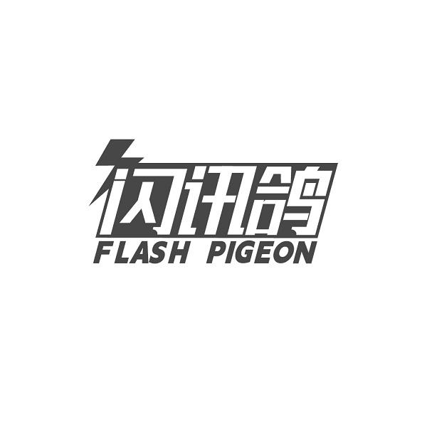 闪讯鸽 FLASH PIGEON