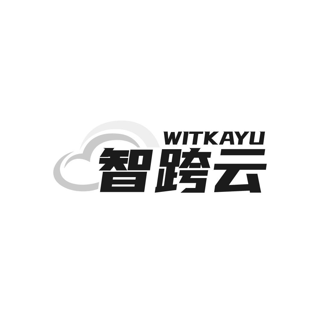 智跨云 WITKAYU