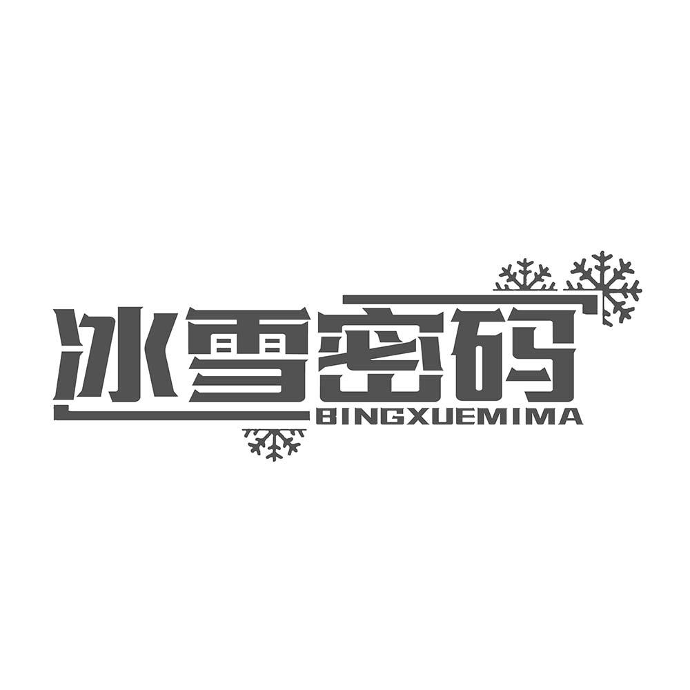冰雪密码
