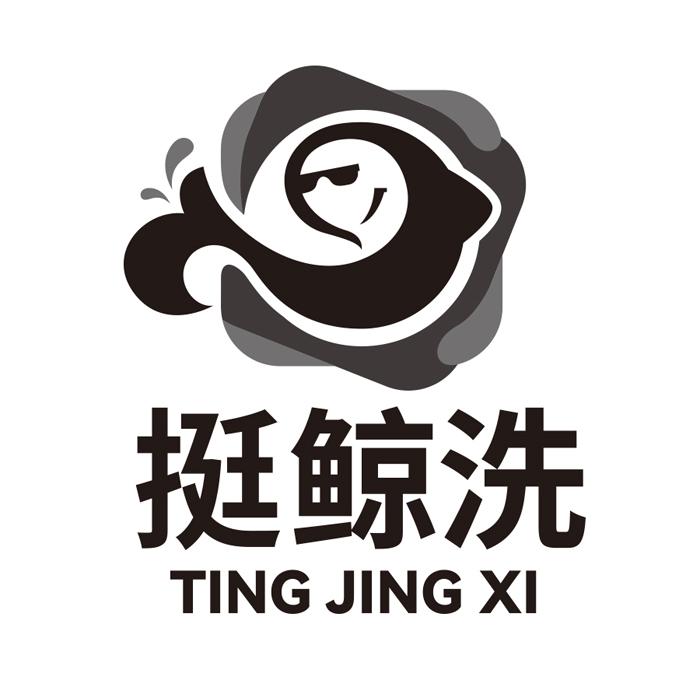 挺鲸洗