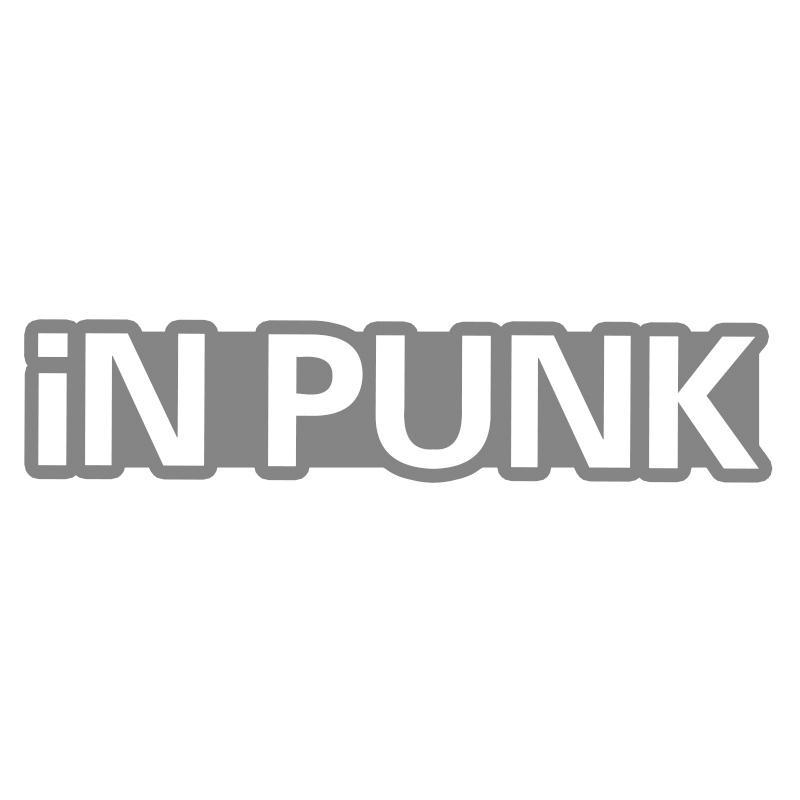 iN PUNK