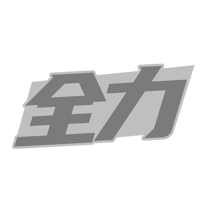 全力