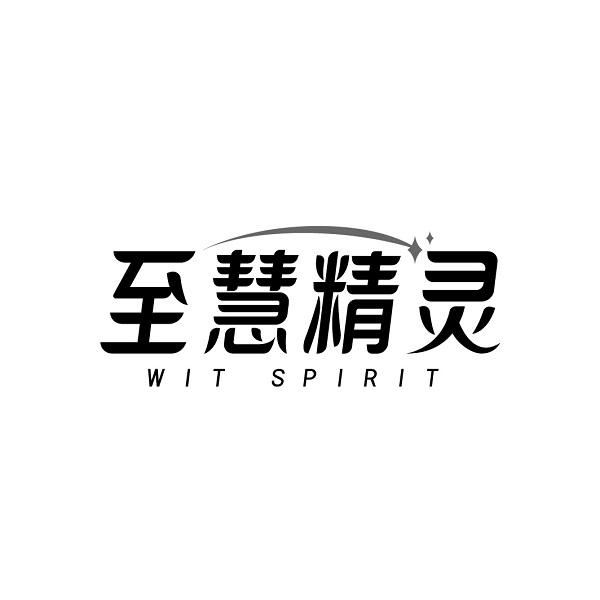 至慧精灵 WIT SPIRIT