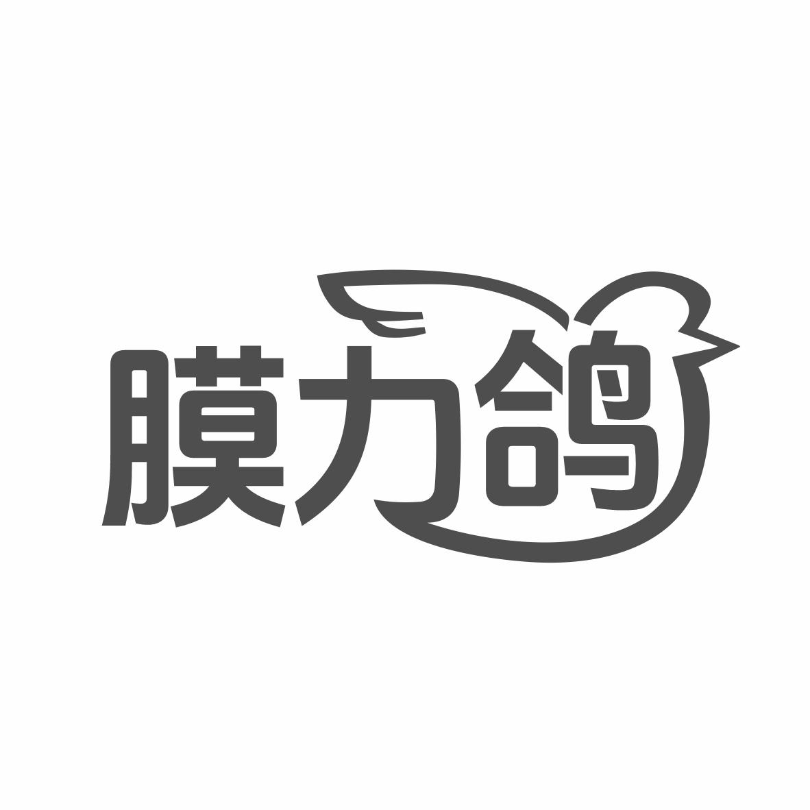 膜力鸽
