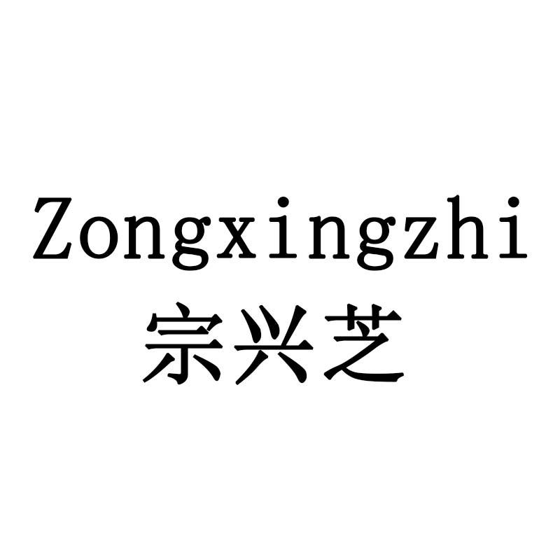 宗兴芝