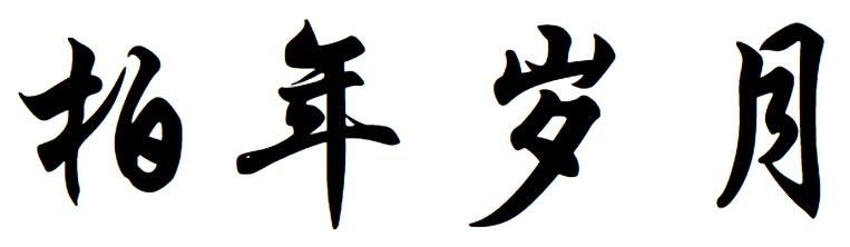 柏年岁月