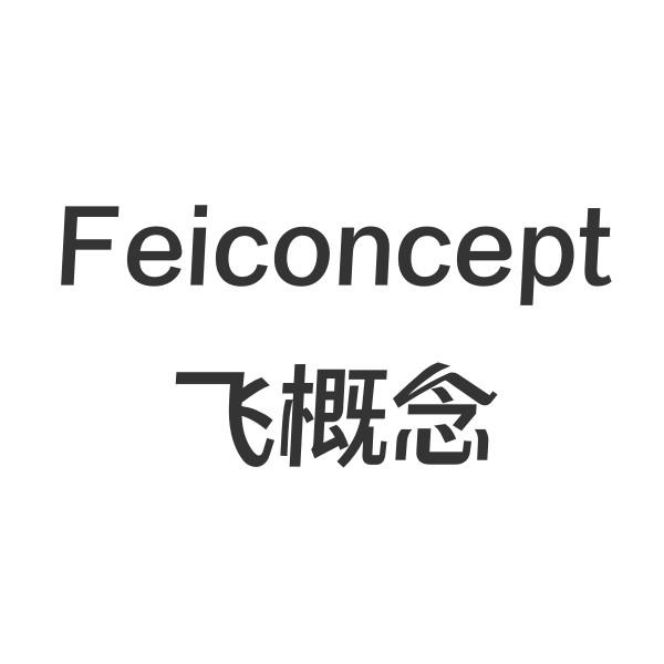 FEICONCEPT 飞概念