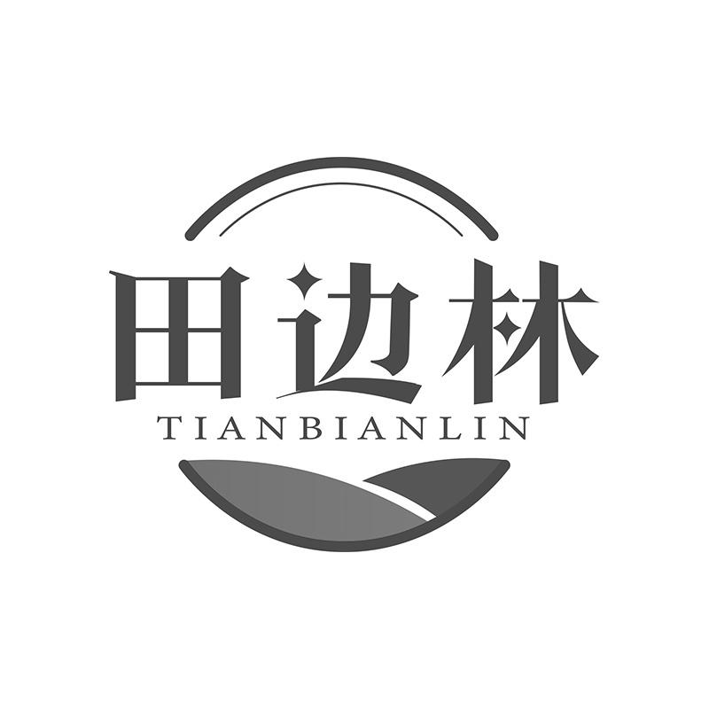 田边林