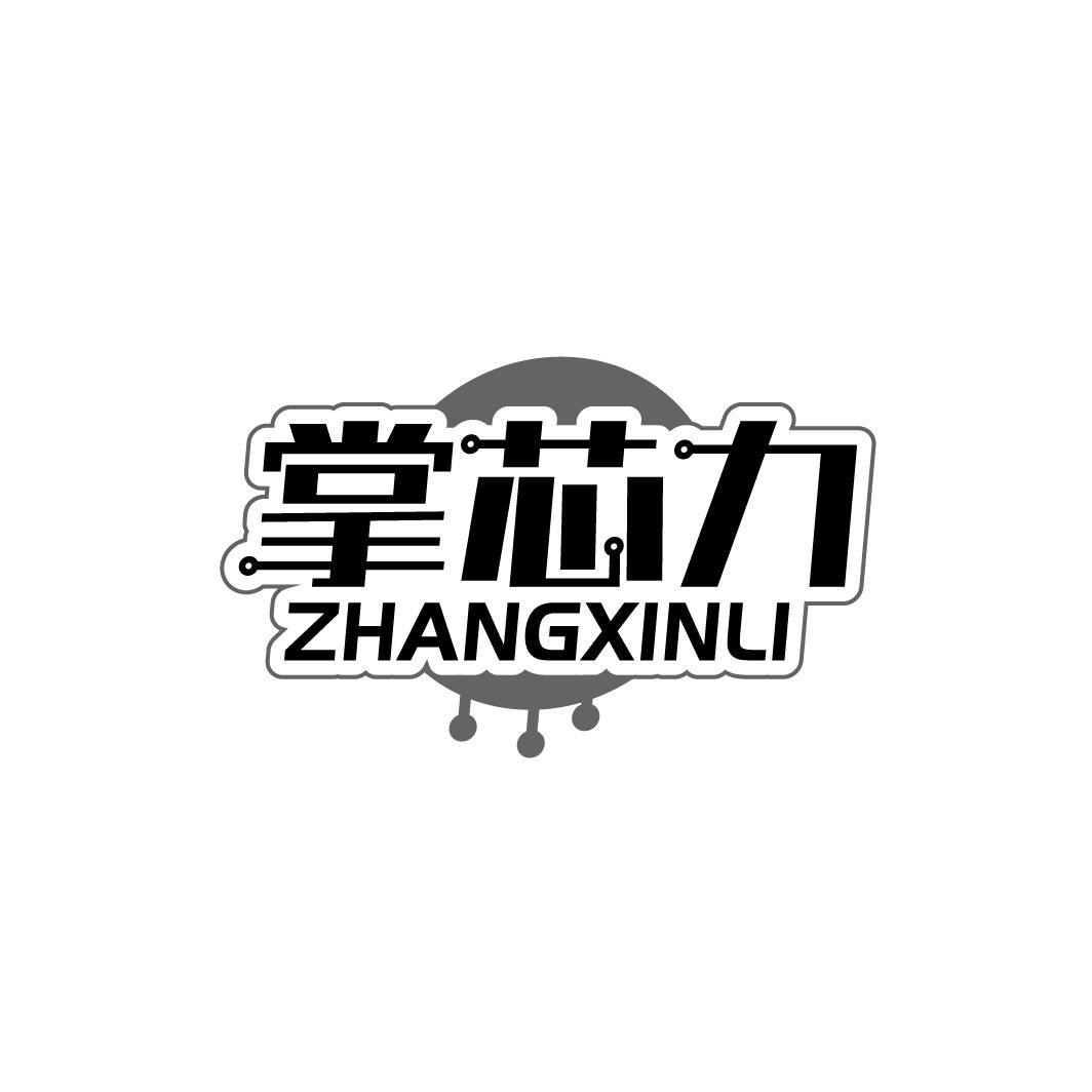 掌芯力 ZHANGXINLI