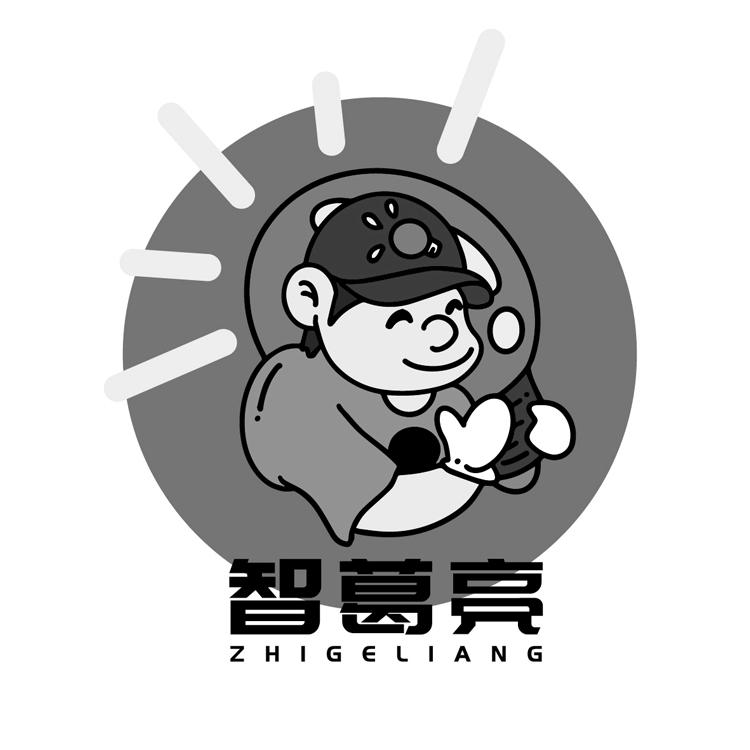 智葛亮