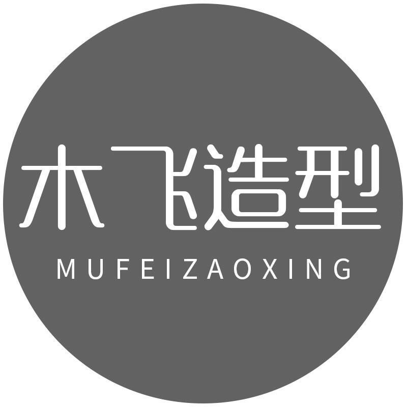 木飞造型
