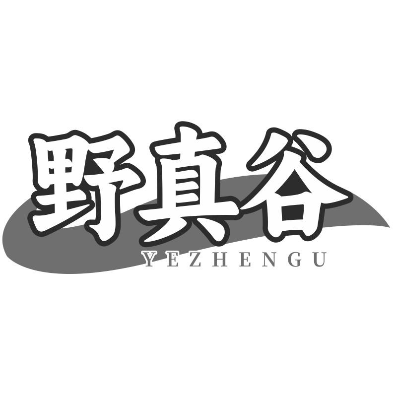 野真谷