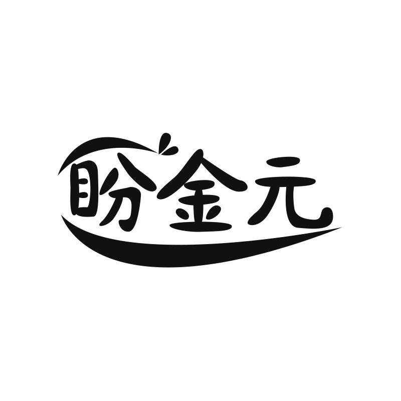 盼金元