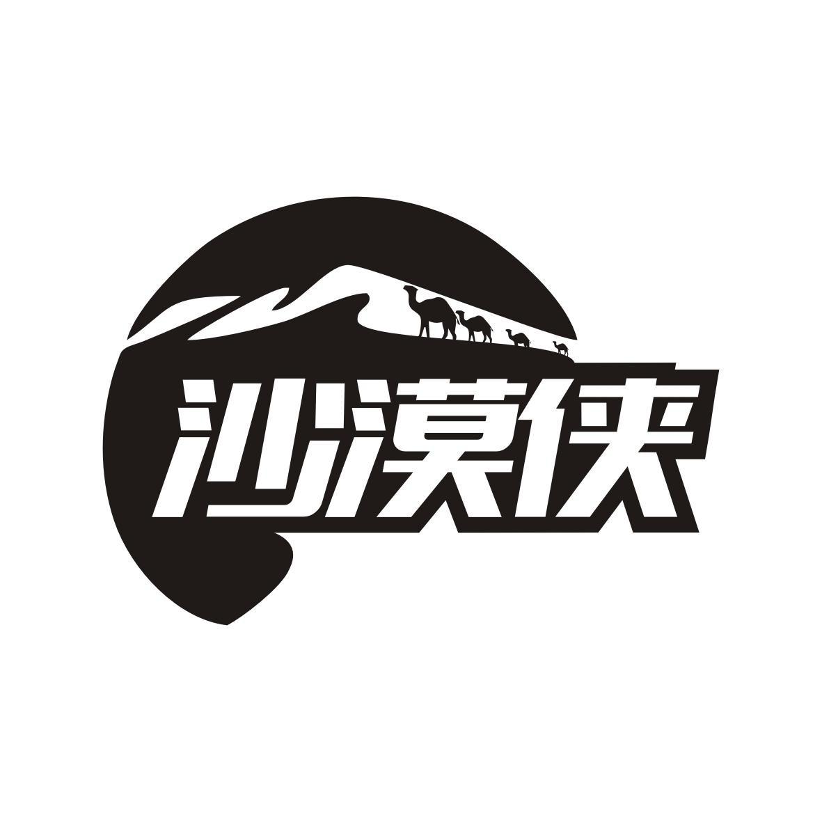 沙漠侠