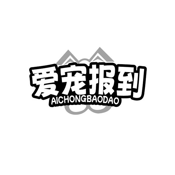 爱宠报到