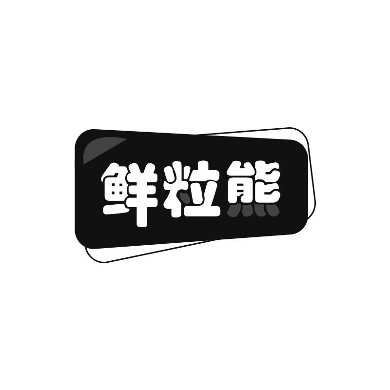 鲜粒熊
