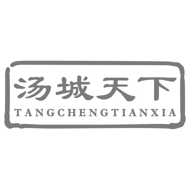 汤城天下