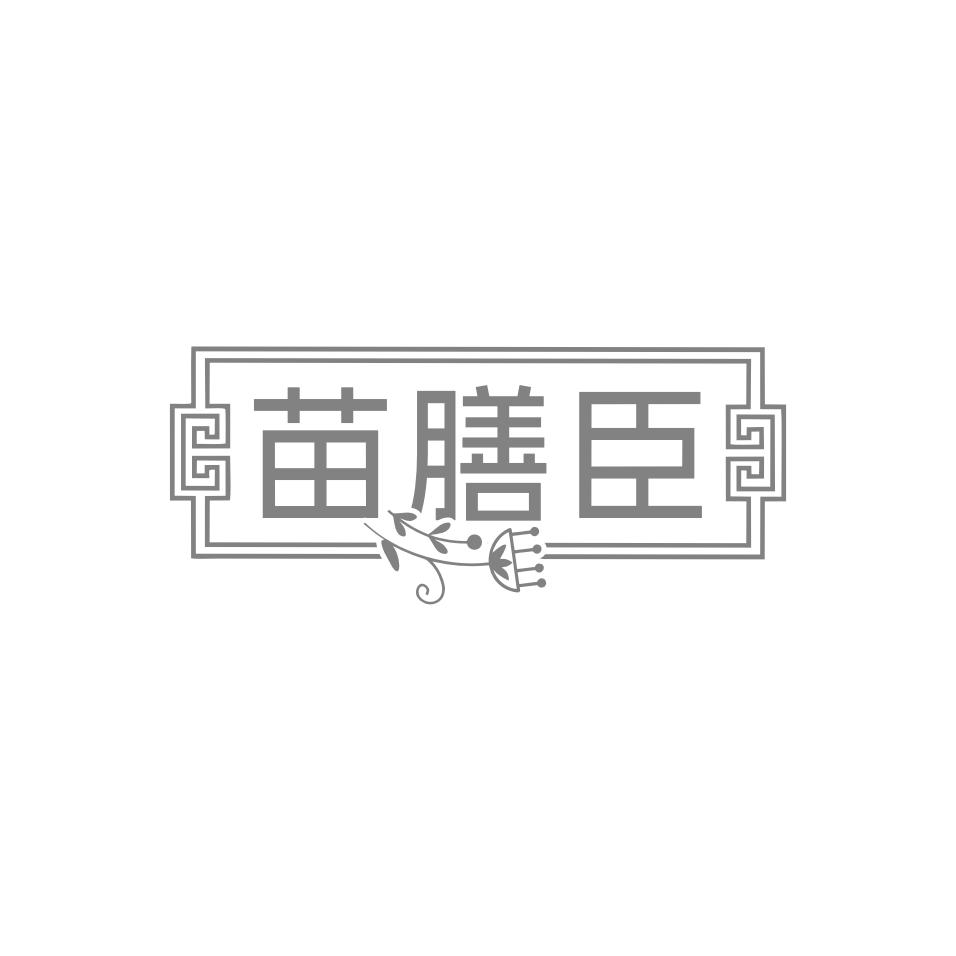 苗膳臣
