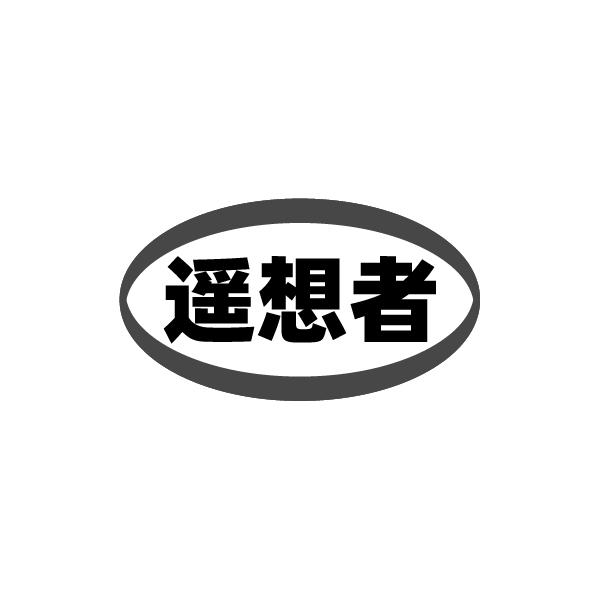 遥想者