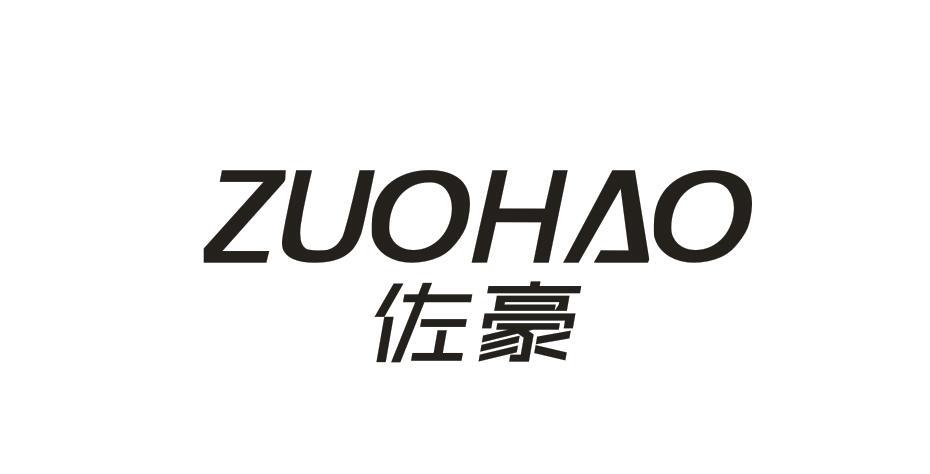 佐豪