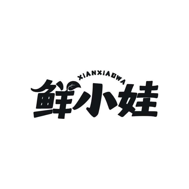 鲜小娃