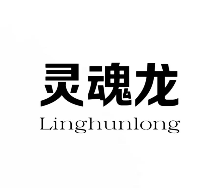 灵魂龙