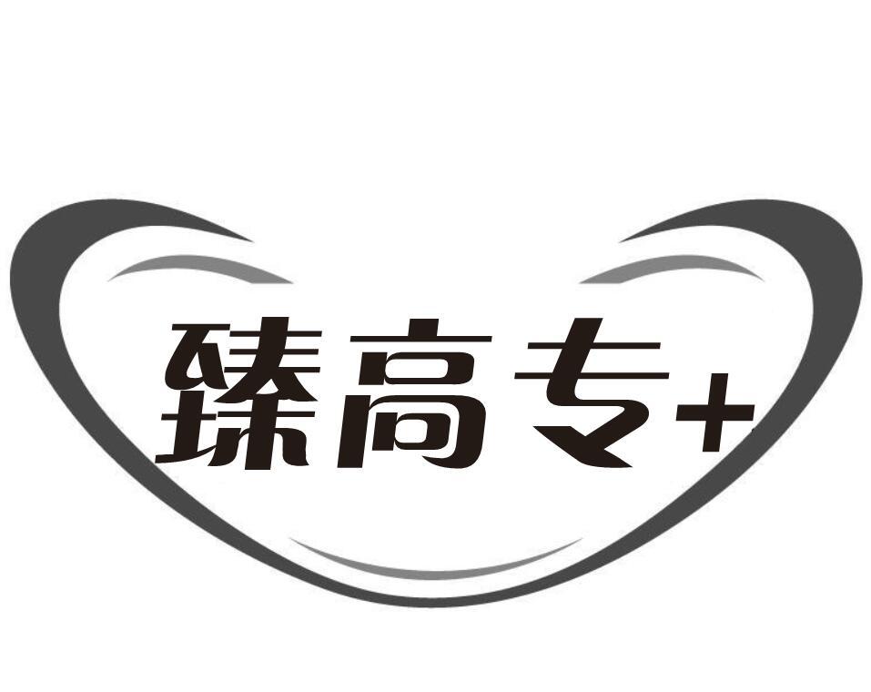 臻高专+