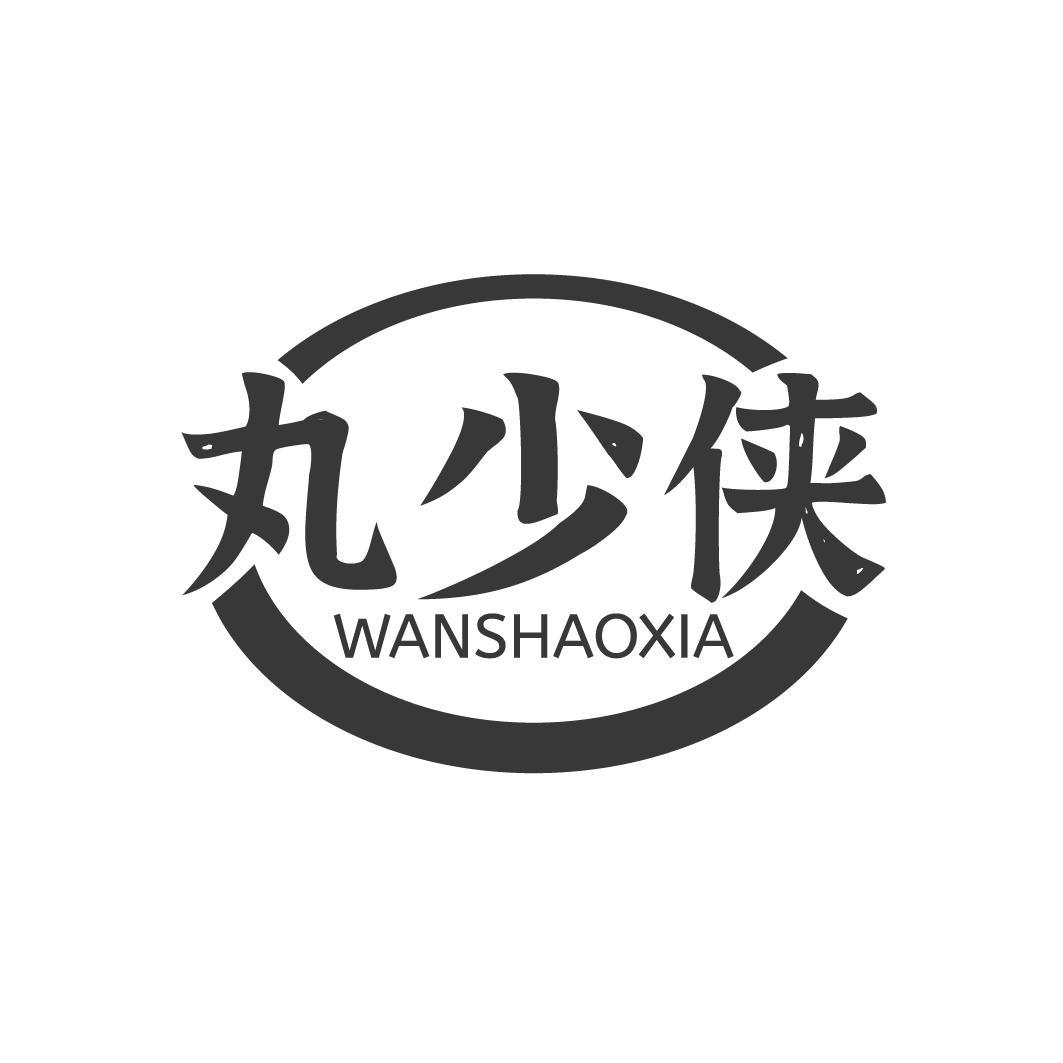 丸少侠