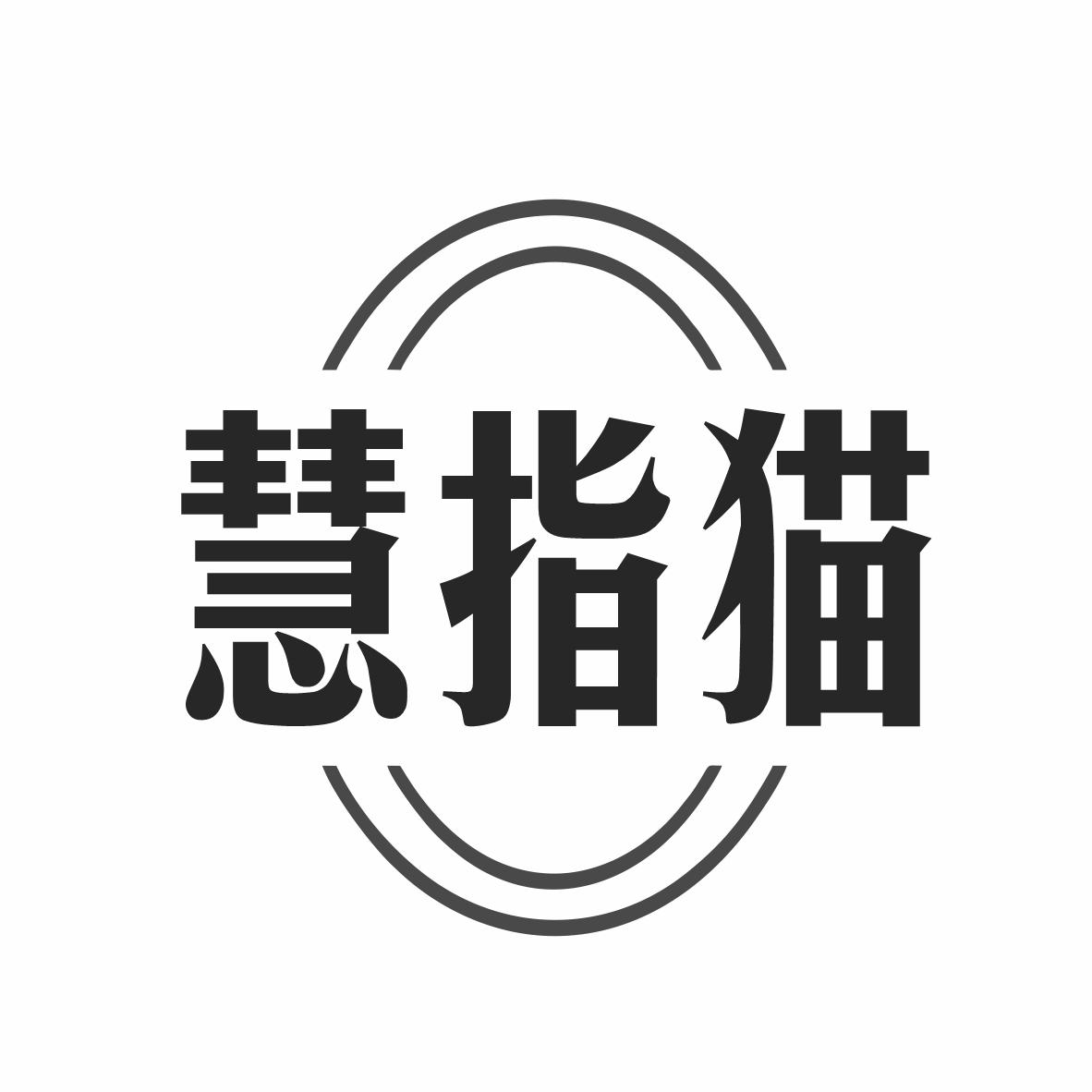 慧指猫