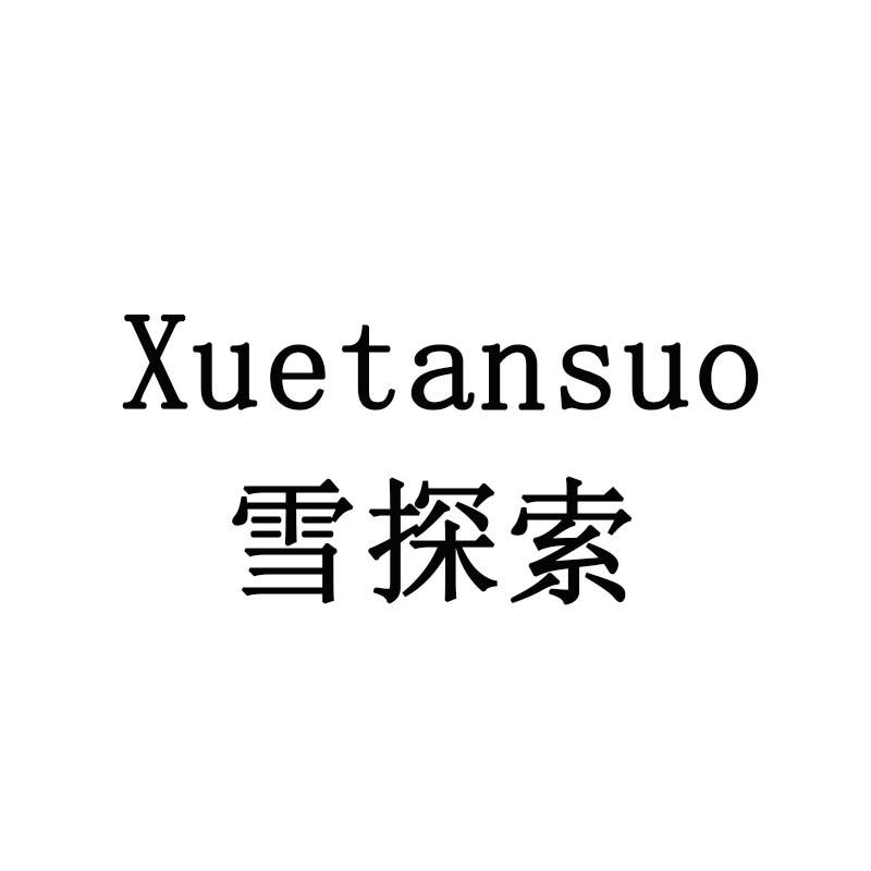 雪探索