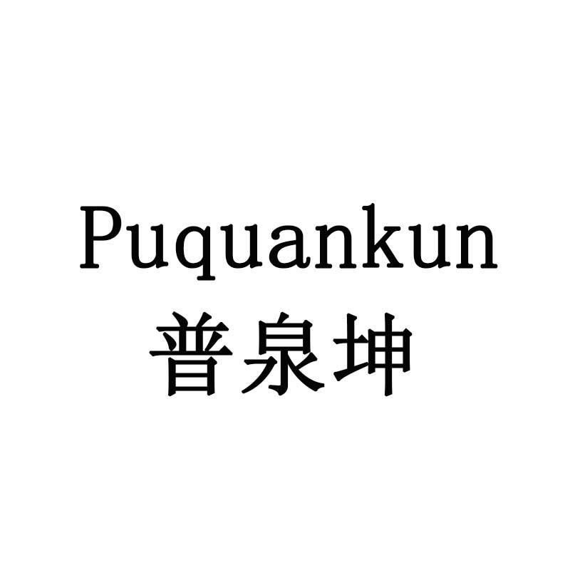 普泉坤