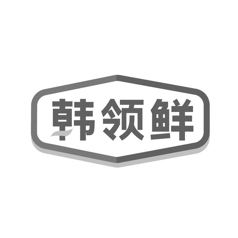 韩领鲜
