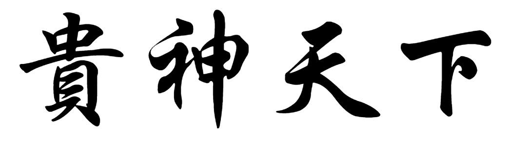 贵神天下