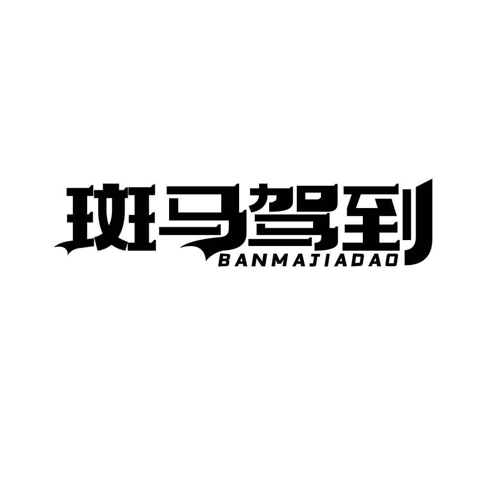 斑马驾到