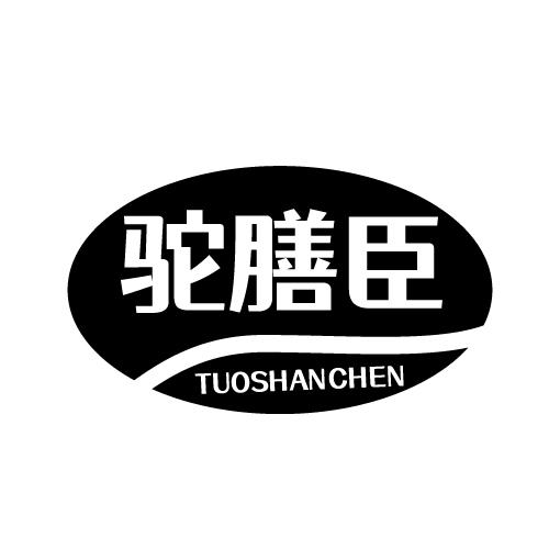 驼膳臣