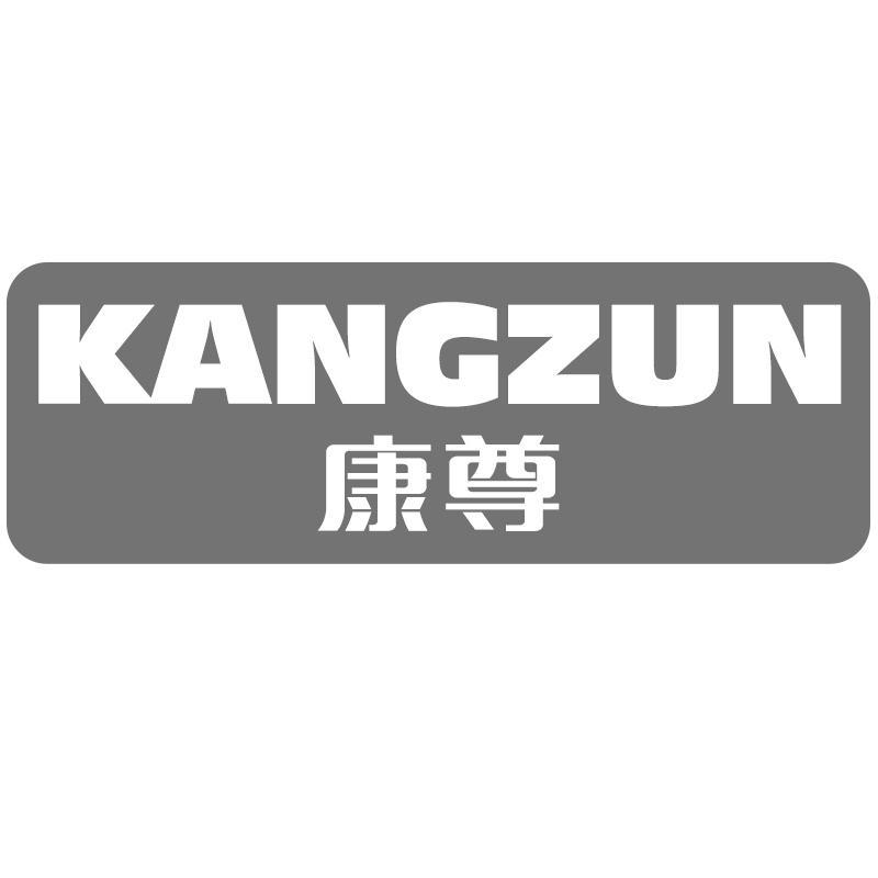 康尊
