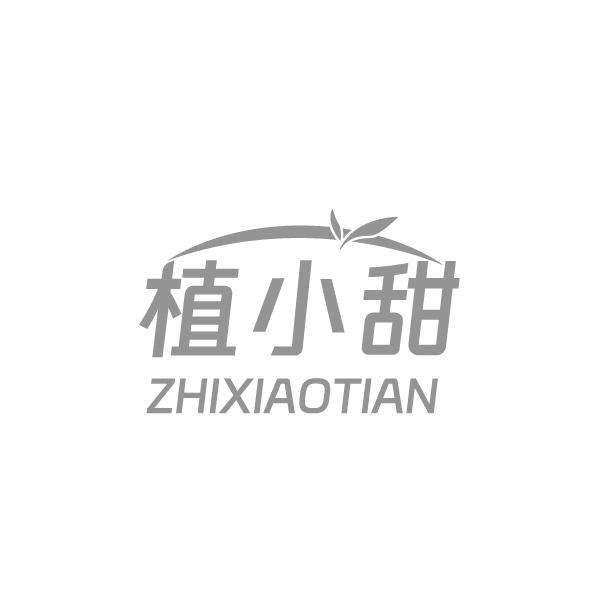 植小甜