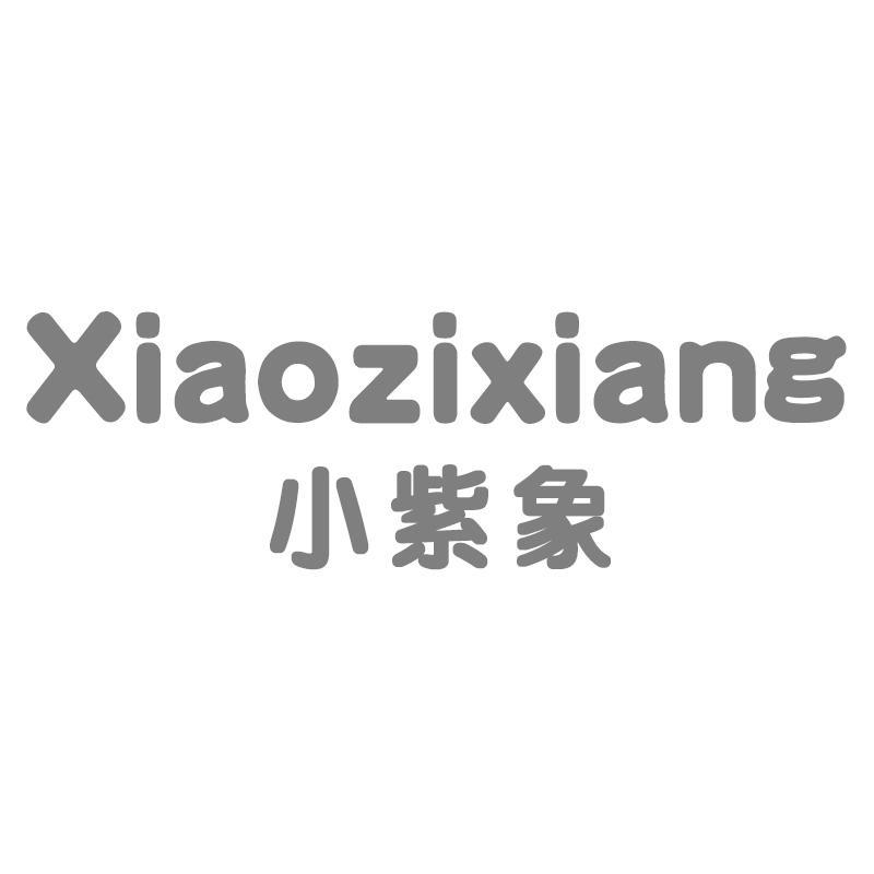 小紫象