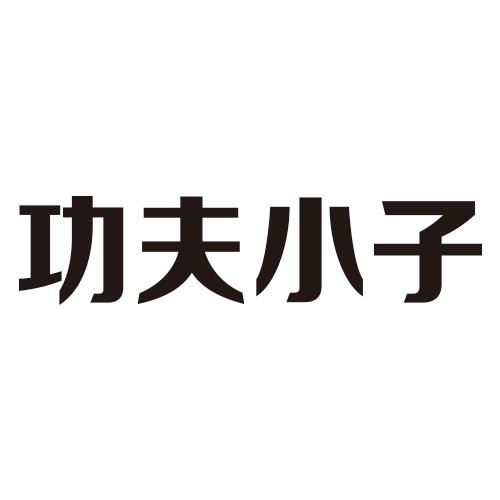 功夫小子