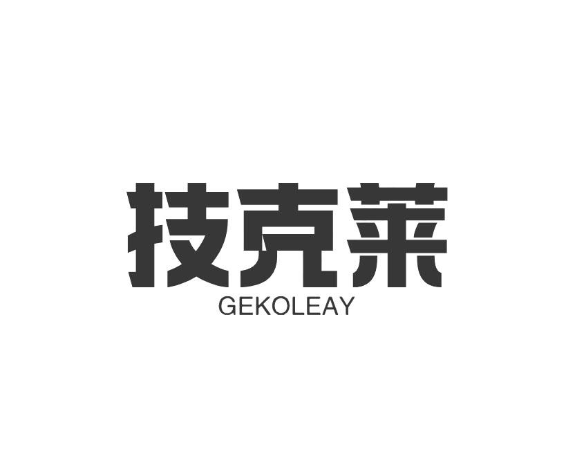 技克莱 GEKOLEAY